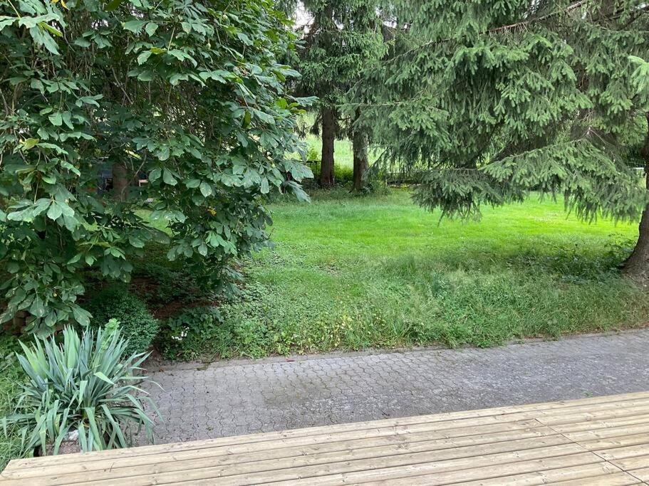 Wohnung In Idyllischem Oertchen Meschede Buitenkant foto